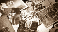 sample usi