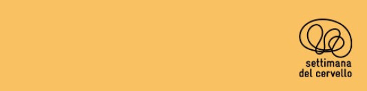 main_banner