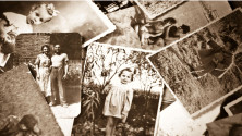 sample usi